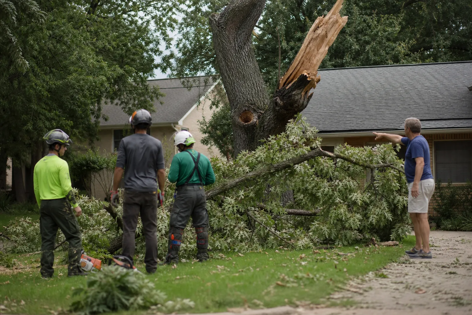 A tree crew in work gear stands beside a large fallen branch in a suburban front yard while a homeowner points toward a damaged oak near the driveway, with tools and debris on the grass.